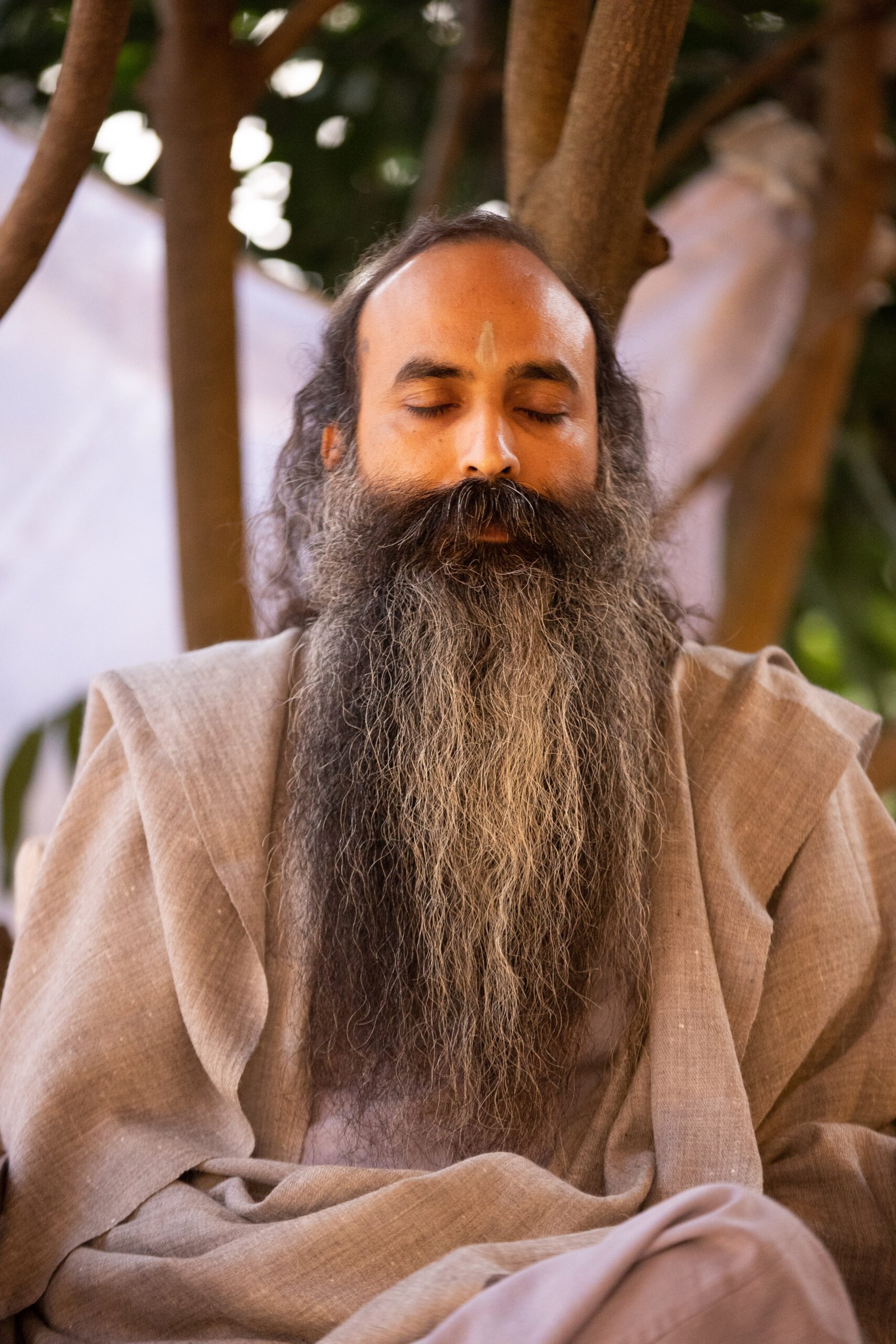 Gurudev Sri Anish in meditation